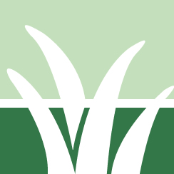 Invasive Knotweed Removal Pros