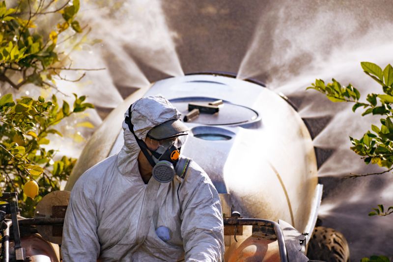 Invasive Knotweed Removal