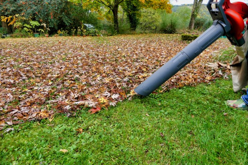 Clean Lawn After Leaf Clearing