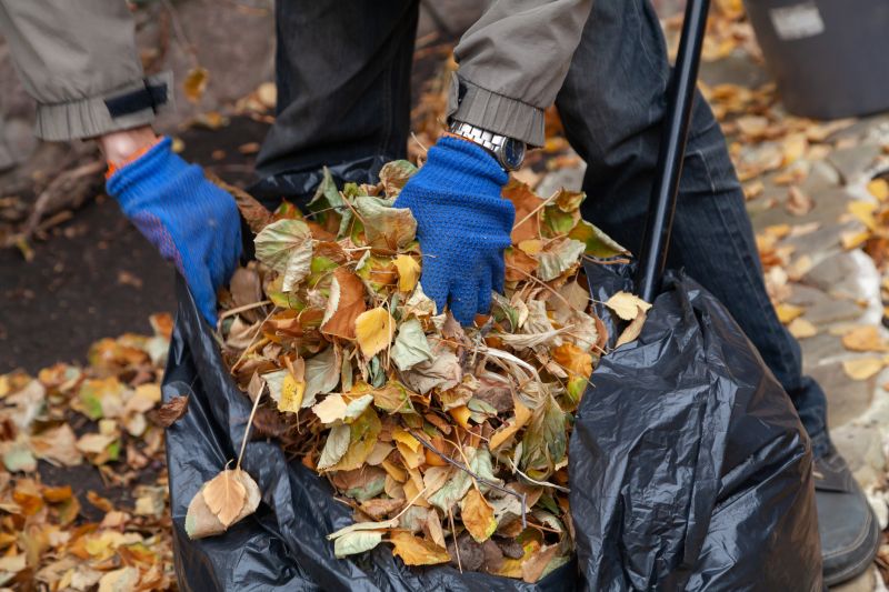 Mulching Fallen Leaves