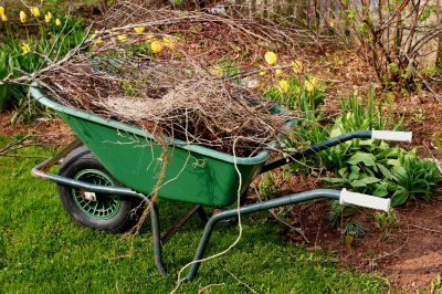 Yard with Mulched Leaves
